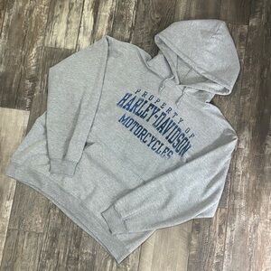 Harley-Davidson Light Gray Men's Hoodie